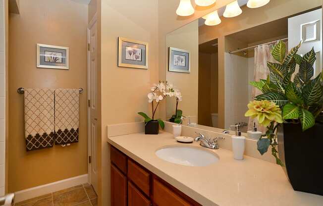 Bathroom with a sink and mirror at Broadwater Apartments in St Petersburg, FL 33711