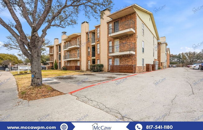 1 bed, 1 bath, 550 sqft, $1,000, Unit 321