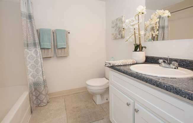 River Pointe Second Model 2nd Bathroom