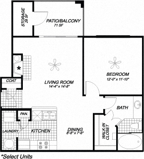 1 bed, 1 bath, $1,316
