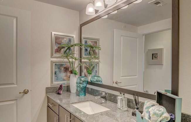 A bathroom with a vanity, mirror, and a plant.