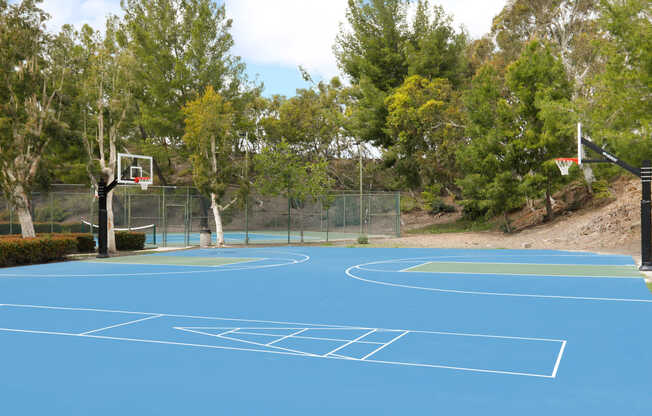 Basketball and Multi-sport Court