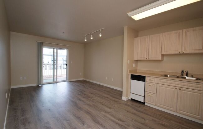 Studio, 1 bath, 413 sqft, $1,150, Unit 607