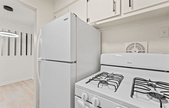 1 bed, 1 bath, 700 sqft, $875, Unit 203