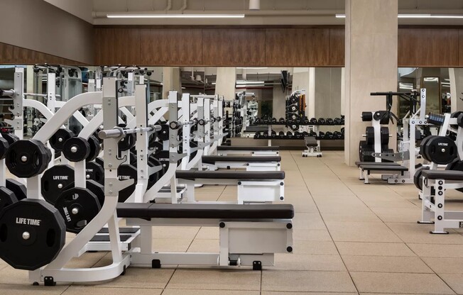 1 bed, 1 bath, $5,000, Unit 63J