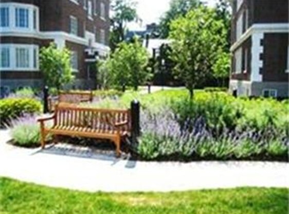 1 bed, 1 bath, 795 sqft, $3,500, Unit A 303