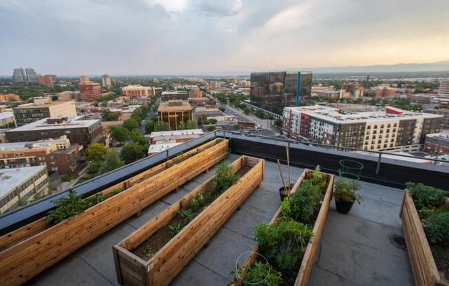 Beautiful roof gardens