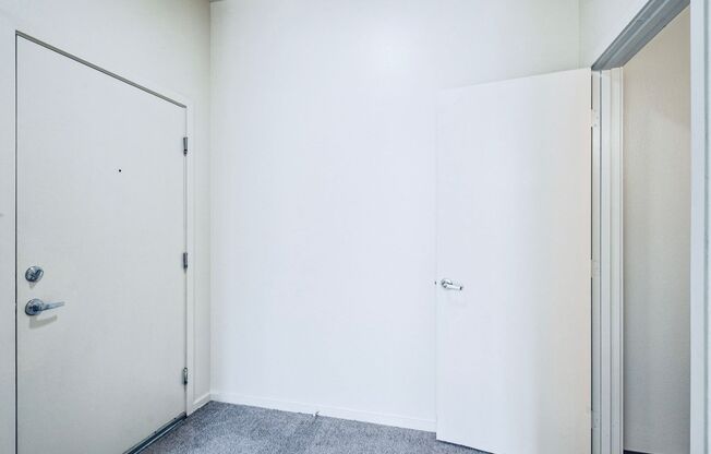 Studio, 1 bath, 438 sqft, $1,100, Unit 1005