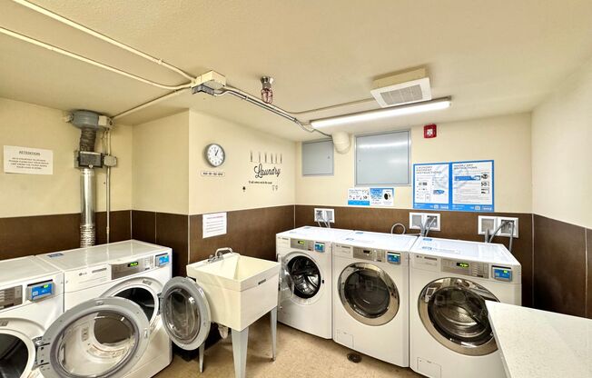 Studio, 1 bath, 350 sqft, $1,000, Unit 109