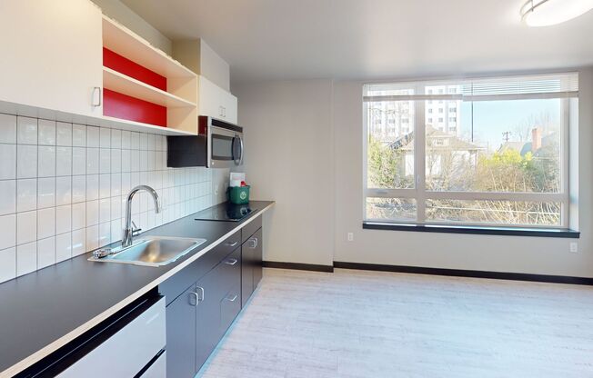 Studio, 1 bath, 238 sqft, $1,195, Unit 407