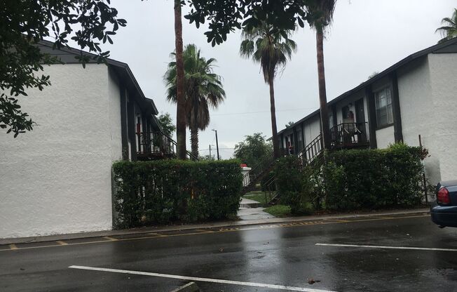 Baywatch Apartments- Five Minutes Driving from USF