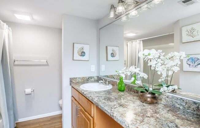 2 beds, 2 baths, 978 sqft, $1,375