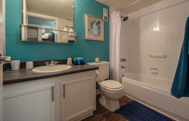 Model Bathroom