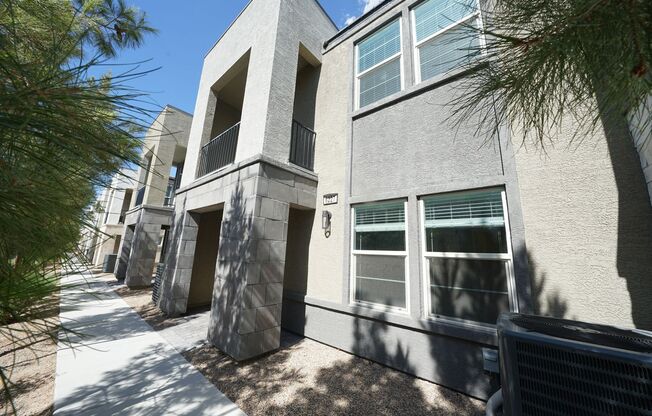 Showings Available Now