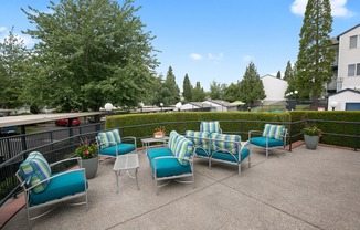 Alpine 1 Pool Area