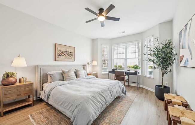 A bedroom with a large bed, a ceiling fan, and a wooden nightstand with a lamp and a plant on it.