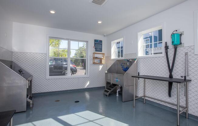 A clean, well-lit pet grooming area featuring two wash stations with stainless steel basins, a grooming table with a black surface, and a wall-mounted grooming tool organizer. Large windows allow natural light to fill the space, and the floor has a smooth, light blue finish.