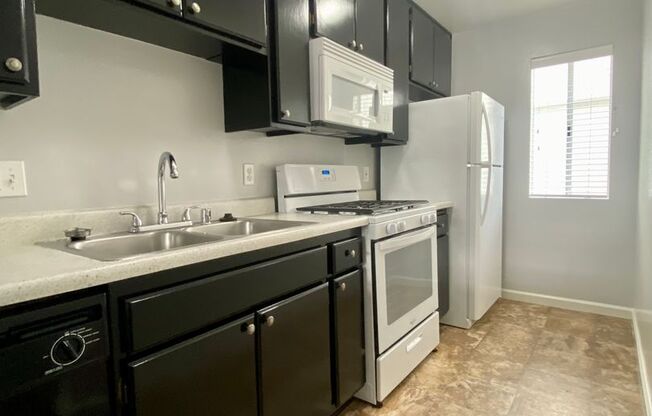Studio, 1 bath, 455 sqft, $1,885, Unit 63-104