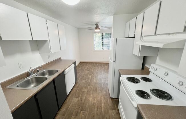 1 bed, 1 bath, 730 sqft, $1,225, Unit 01-31