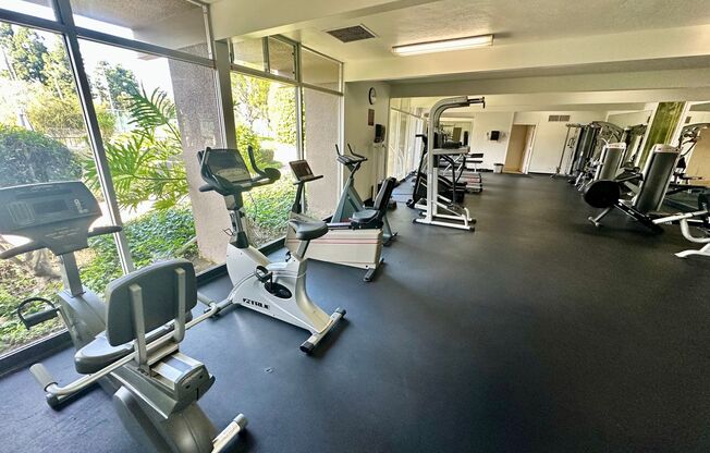1 bed, 1 bath, $2,195, Unit Unit 284