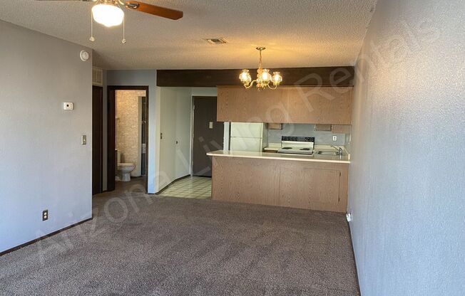 1 bed, 1.5 baths, $1,000