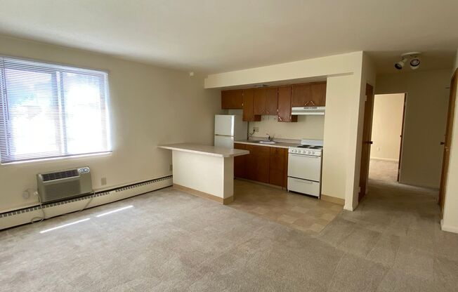 1 bed, 1 bath, 550 sqft, $1,275, Unit 204