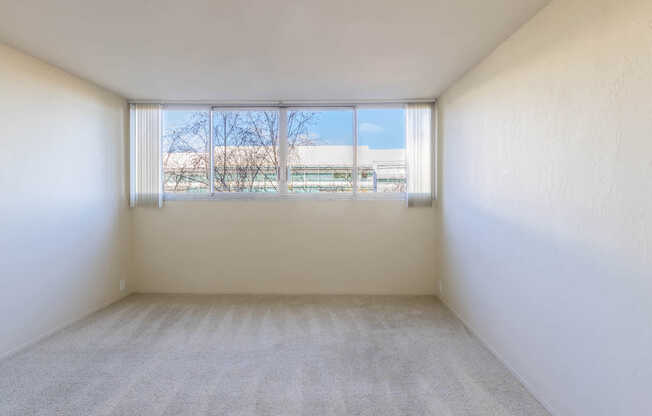 Carpeted Bedroom