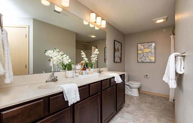 Luxurious Bathroom at Lake Shore Apartments, Ankeny, IA