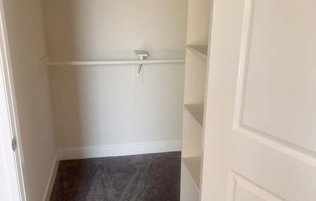 A white closet with a grey carpet.