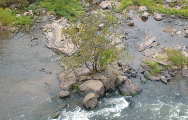 1 bed, 1 bath, $1,600