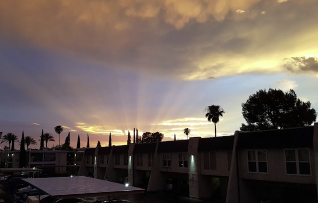 TUCSON - LAS COLINAS