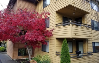 Partner-provided photo for $1925 unit