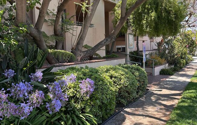 Corsican Apartments