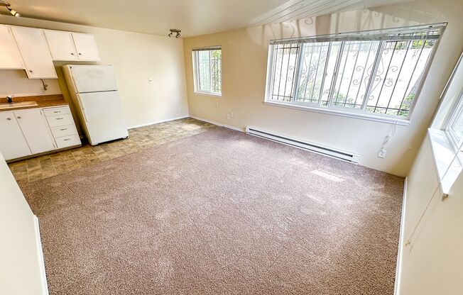 1 bed, 1 bath, 475 sqft, $1,295, Unit 208