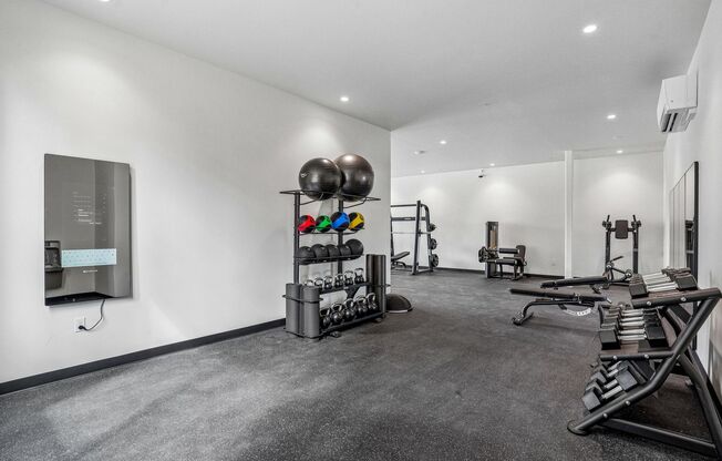 1 bed, 1 bath, 548 sqft, $1,675, Unit 205