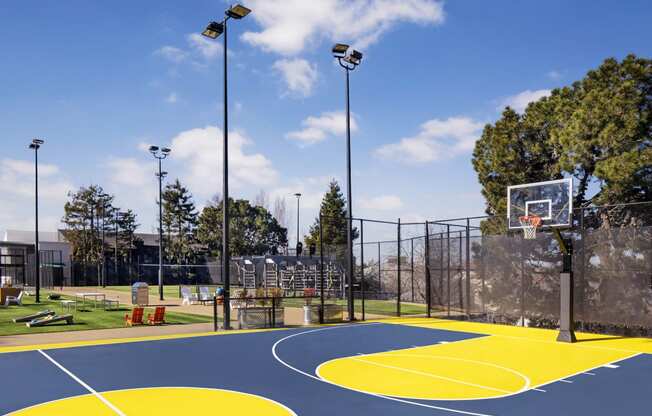 a basketball court in a park on a sunny day