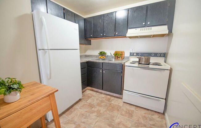 Studio, 1 bath, 360 sqft, $710, Unit 302