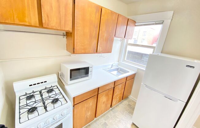 1 bed, 1 bath, 500 sqft, $1,495, Unit 203