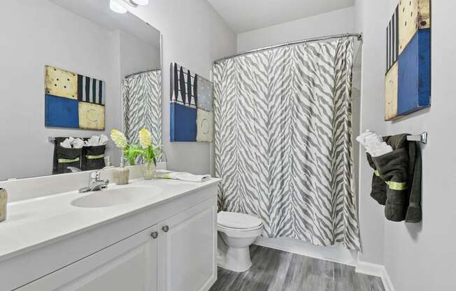 A bathroom with a white sink and a shower curtain with a zig zag pattern.