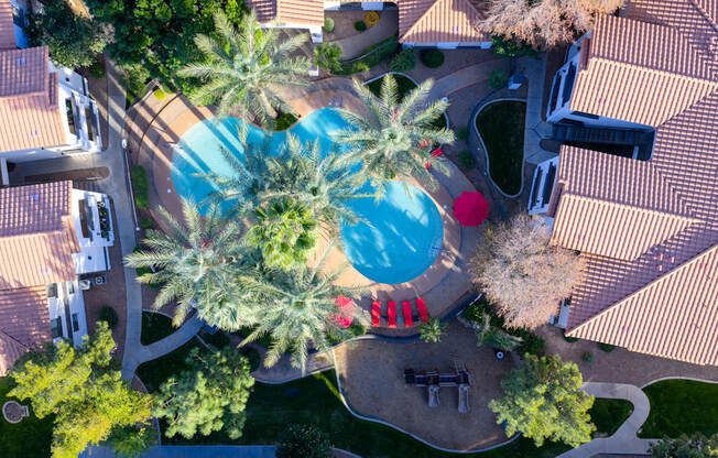 A pool surrounded by palm trees and red chairs.