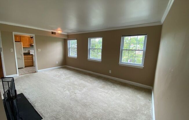 Sunny, spacious 1BR/1BA Condo in Arlington's Precious Palisades Condos w/Parking