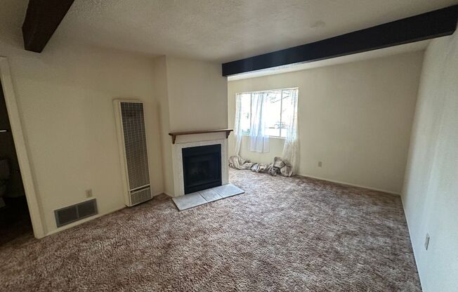 1 bed, 1 bath, 600 sqft, $950