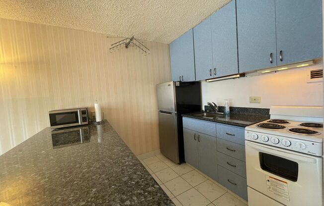 PACIFIC GRAND near Ala Moana - Electricity Included!