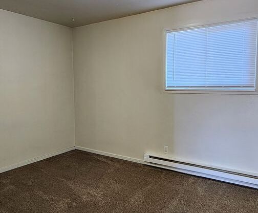 2 beds, 1 bath, $1,245