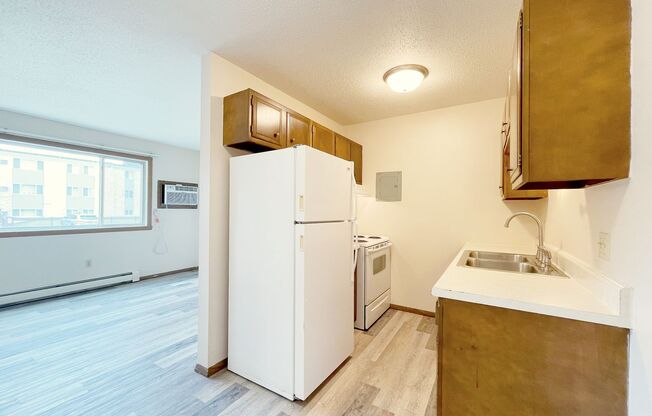1 bed, 1 bath, 460 sqft, $755, Unit 525-20