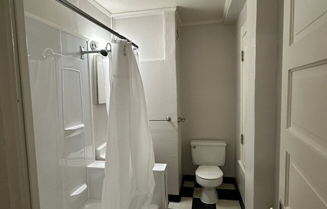 Studio, 1 bath, 280 sqft, $1,095, Unit 102