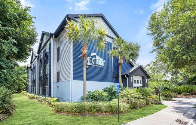 palm trees at Nextloft in Bluffton, South Carolina