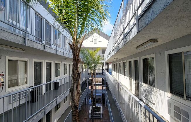 Urban Excellence San Diego Style
