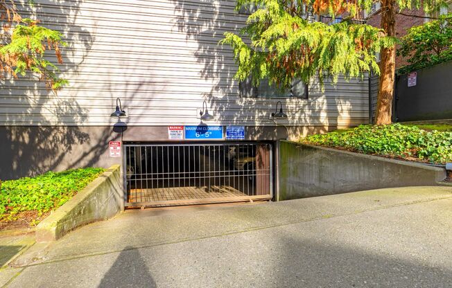 Studio, 1 bath, 504 sqft, $1,591, Unit 303
