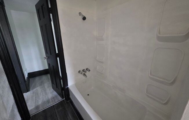 Updated 1 bedroom 1 bath for rent in Arlington!